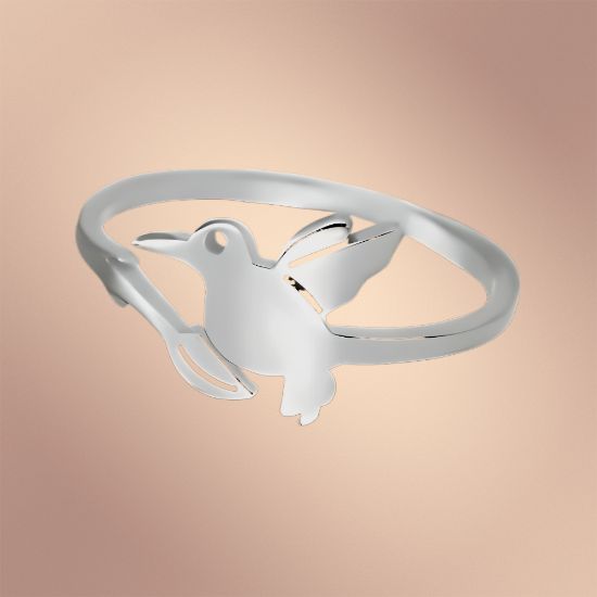 Imagen de  1 Anillo ACERO Colibri Con Rama Mediano M4 Ajustable Acero Color Plata 