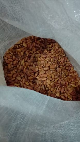 Imagen de Cacao Seco 