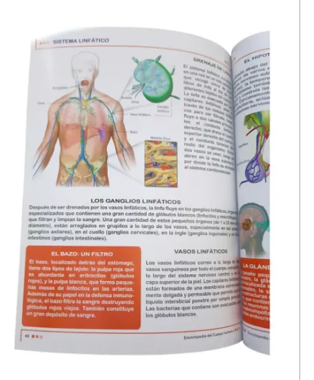 Imagen de Libro Enciclopedia Cuerpo Humano Escolar Económico