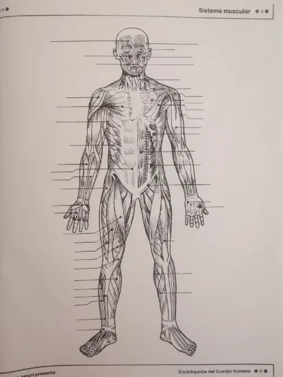 Imagen de Libro Enciclopedia Cuerpo Humano Escolar Económico