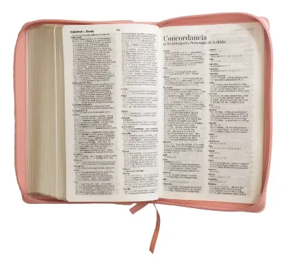 Imagen de Biblia con Cierre Letra Grande 12 puntos RV1960 imit piel rosa