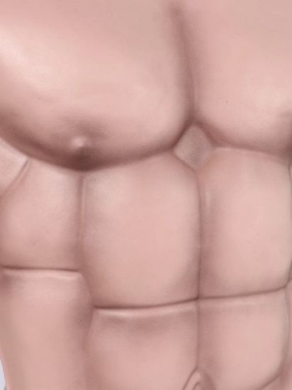 Imagen de Ricolandia Músculos Abdomen  Disfraz Pectoral Mamado Broma 1 pz